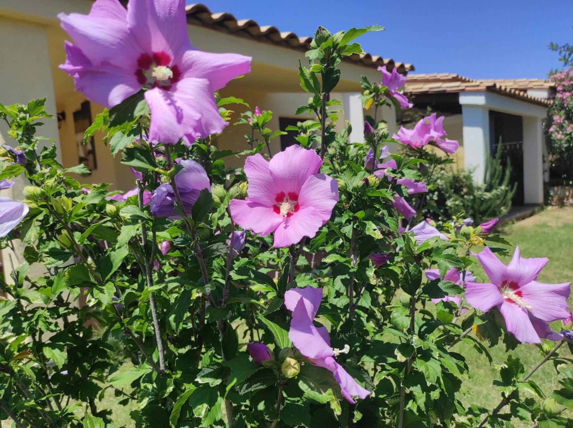 Sa Teria Village Тертения Экстерьер фото